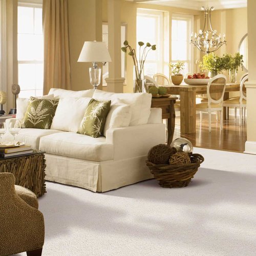Carpeting in Living Room | Haley's Flooring & Interiors