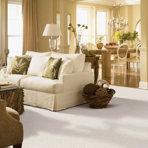 Carpeting in Living Room | Haley's Flooring & Interiors