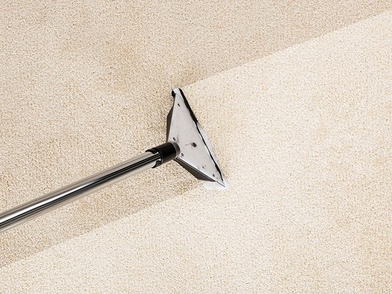 professional-carpet-cleaning-3
