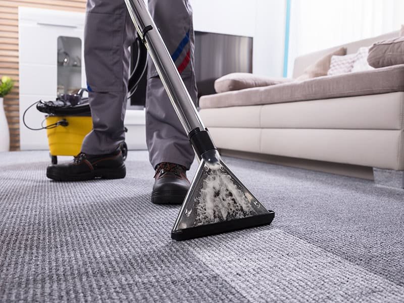 Learn how often should you schedule a professional carpet cleaning