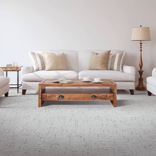 Carpeting in Living Room | Haley's Flooring & Interiors