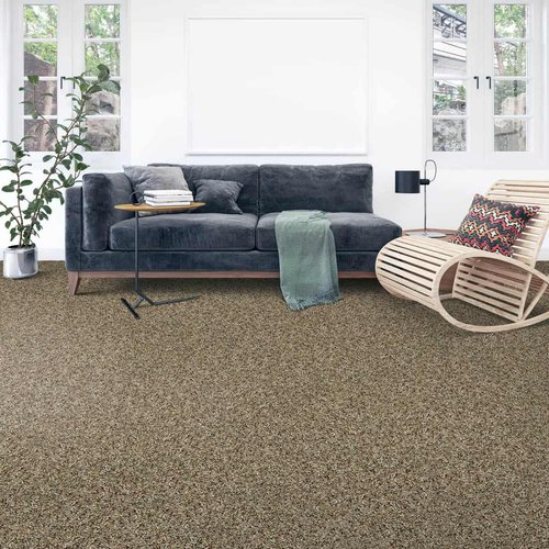 Carpeting in Living Room | Haley's Flooring & Interiors
