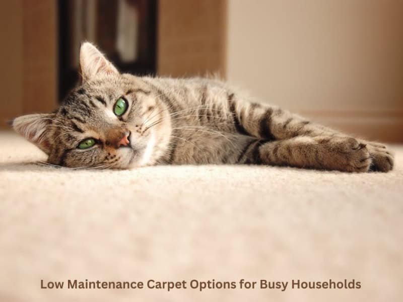 low-maintenance-carpet-options-for-busy-households-1