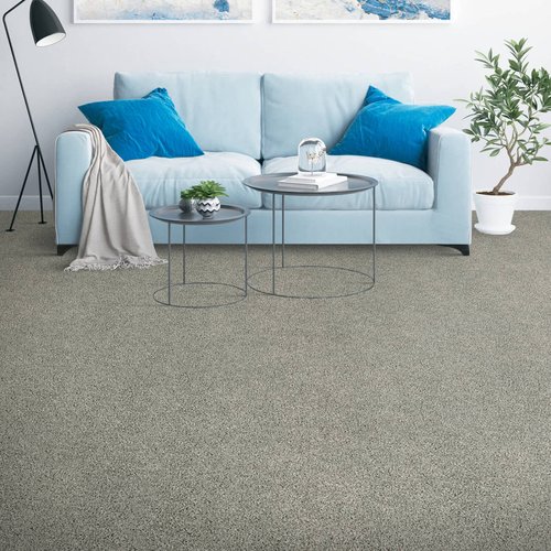 Carpeting in Living Room | Haley's Flooring & Interiors