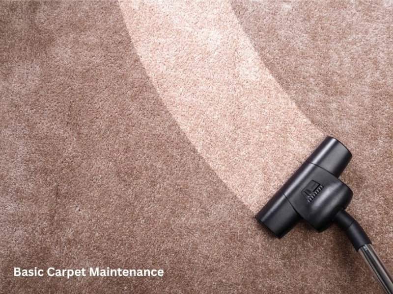 low-maintenance-carpet-options-for-busy-households-4
