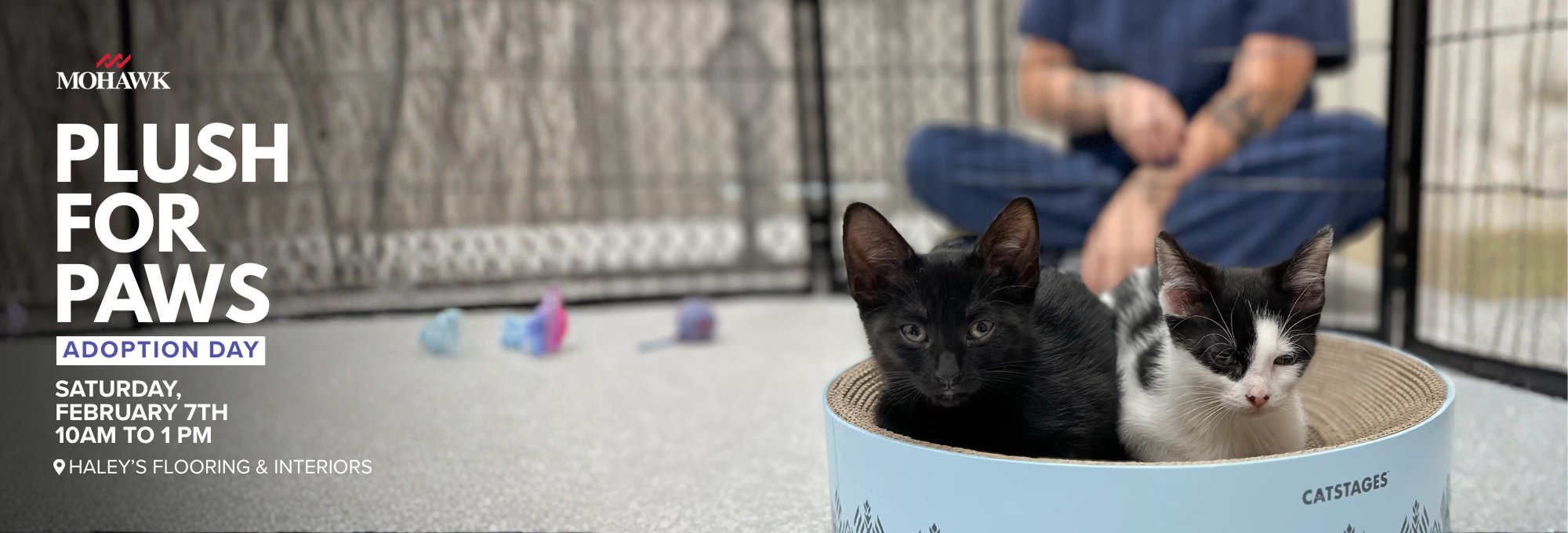 Plush for Paws adoption day at Haley's Flooring in Huntsville, AL