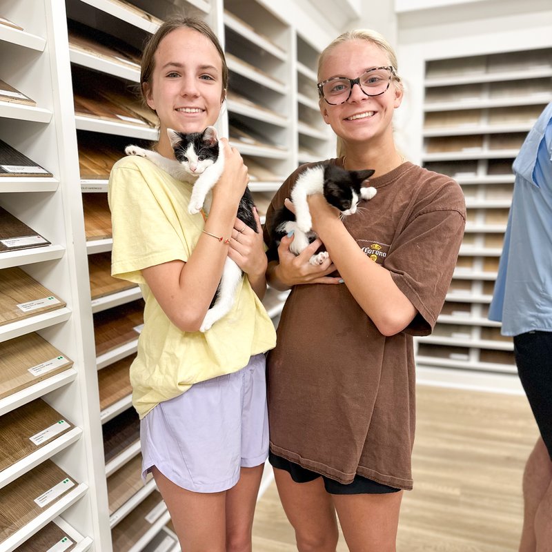 Adoption Day Event presented by Haley's Flooring