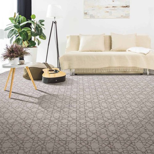 Carpeting in Living Room | Haley's Flooring & Interiors