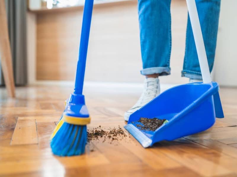flooring-flooring-maintenance-1